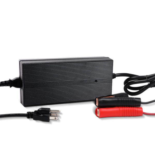 20A 12V AC/DC LFP Portable Battery Charger